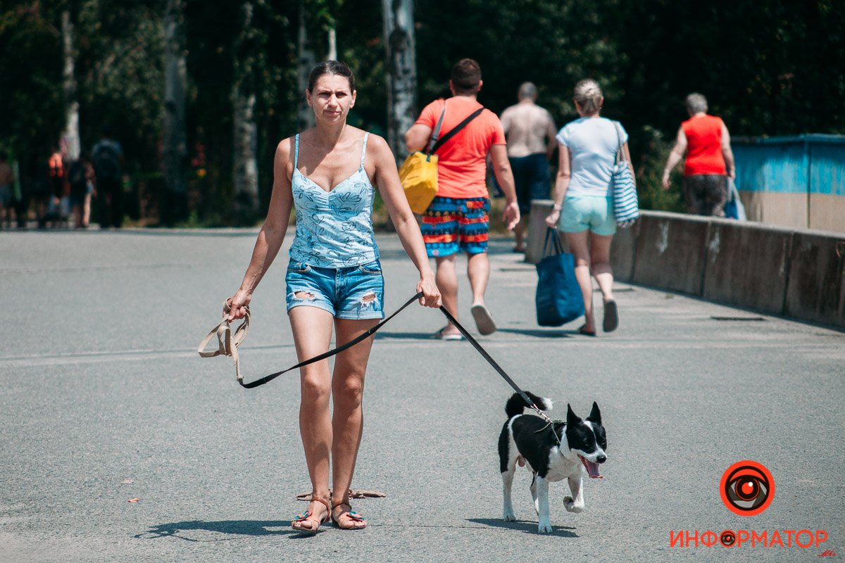 Собакену тоже жарко