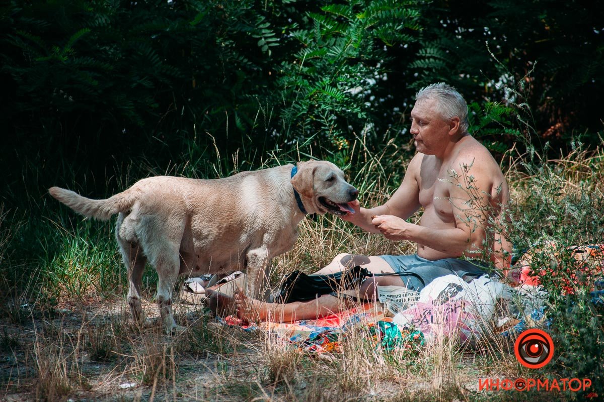 На пикник с четырехлапым другом