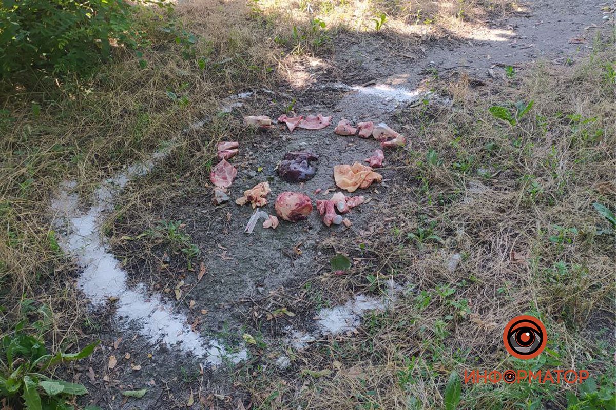 Ножи, воткнутые в печень, и круг из соли: в Днепре женщина наткнулась на странную находку 1