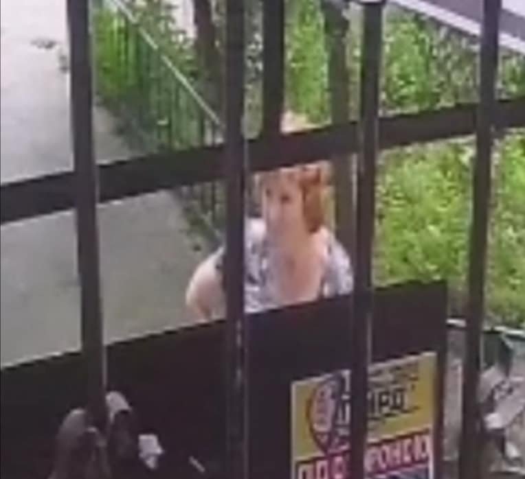 В Днепре женщина подбросила четырех больных котят под ветеринарный центр "АльфаВет" на улице Беляева, 4 В Днепре женщина подбросила четырех больных котят под ветеринарный центр "АльфаВет" на улице Беляева, 4