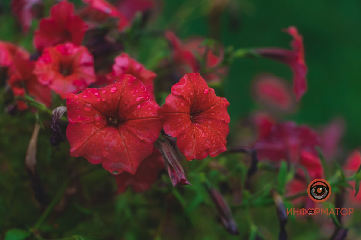 Вся свежесть в одном фото Вся свежесть в одном фото