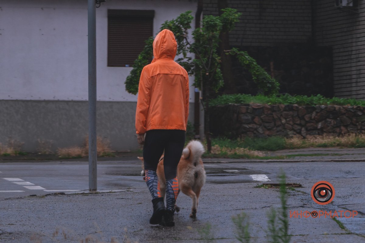 У природы нет плохой погоды У природы нет плохой погоды