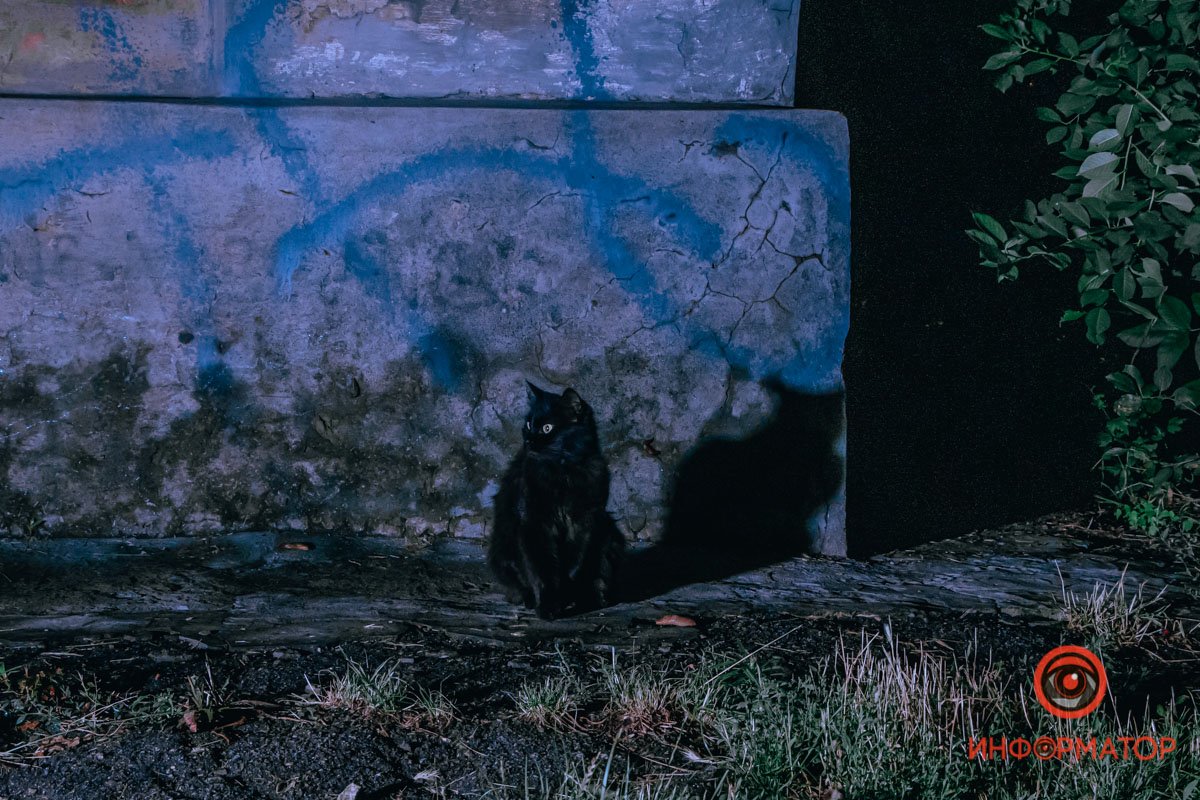 Охранник ночи Охранник ночи