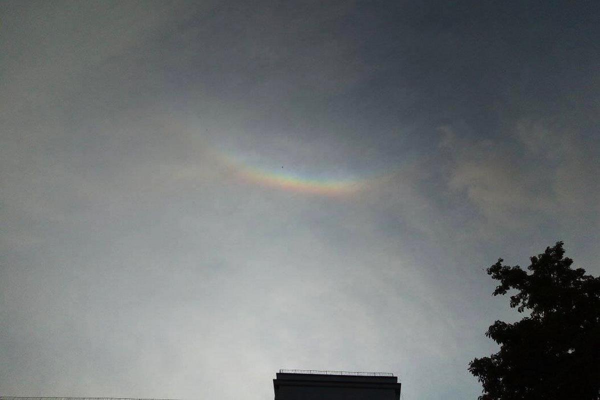 Зенитная дуга гало в Днепре Зенитная дуга гало в Днепре