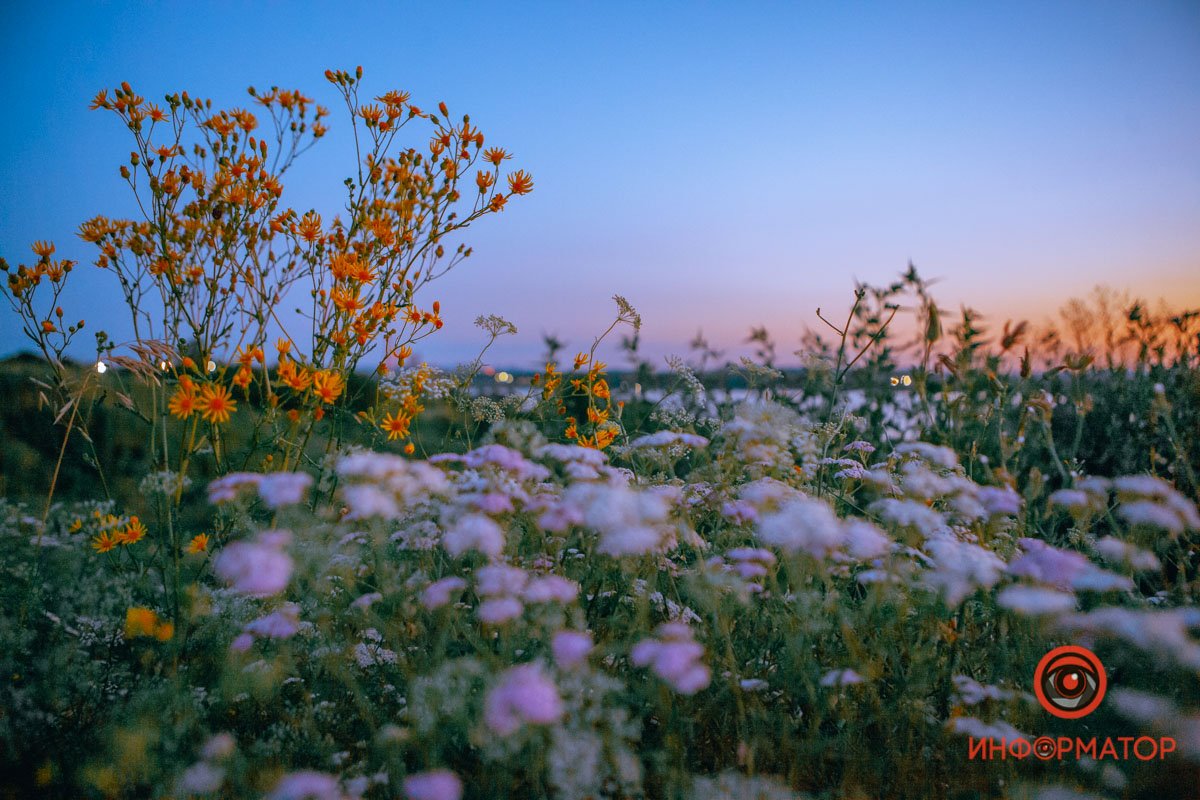 Рассвет в Старых Кодаках