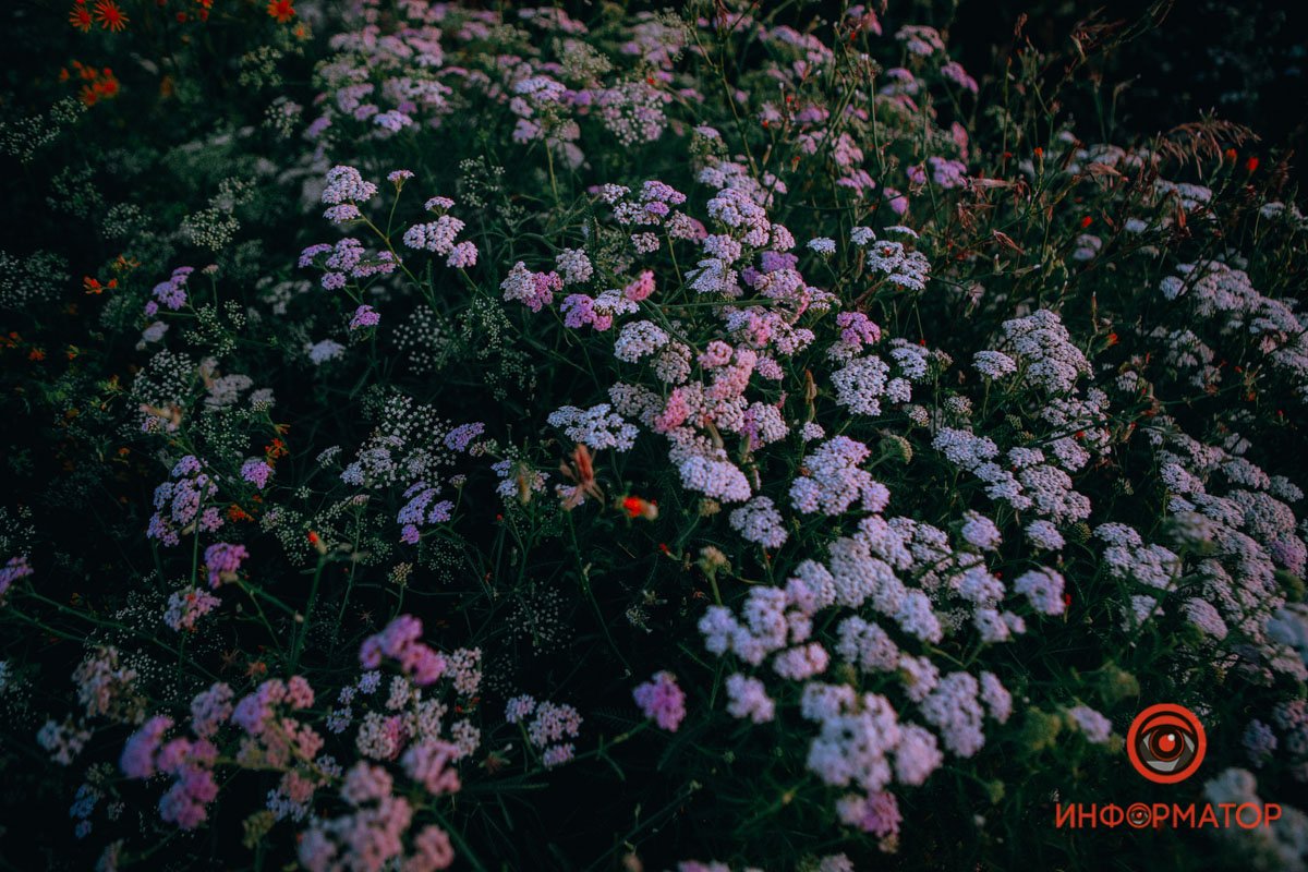 Место имеет богатую историю и очень живописные виды