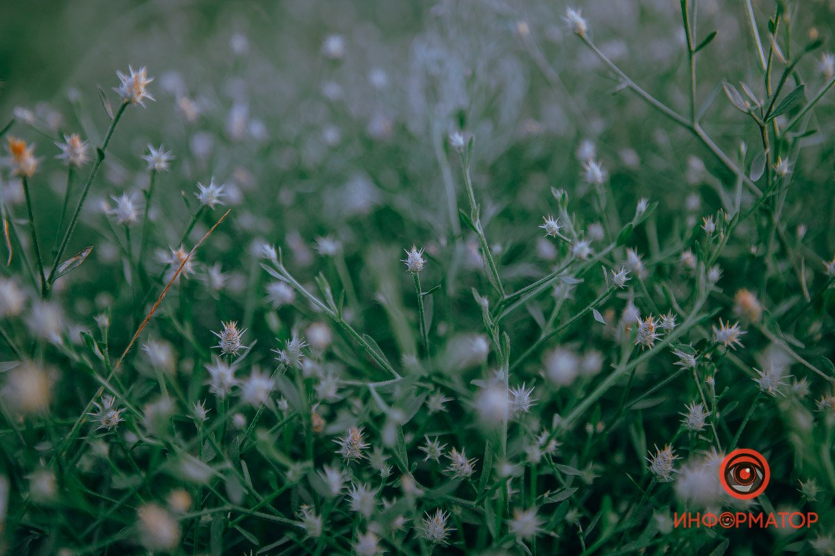 Красота в деталях