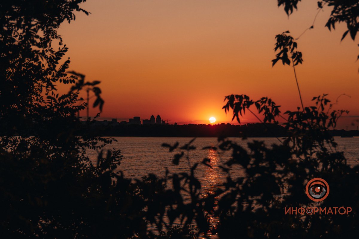 Спрятались в кустах 