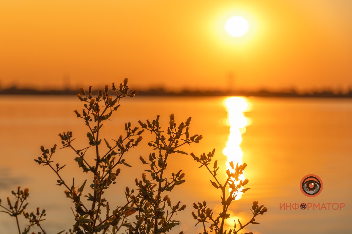 Радуются солнечному свету Радуются солнечному свету