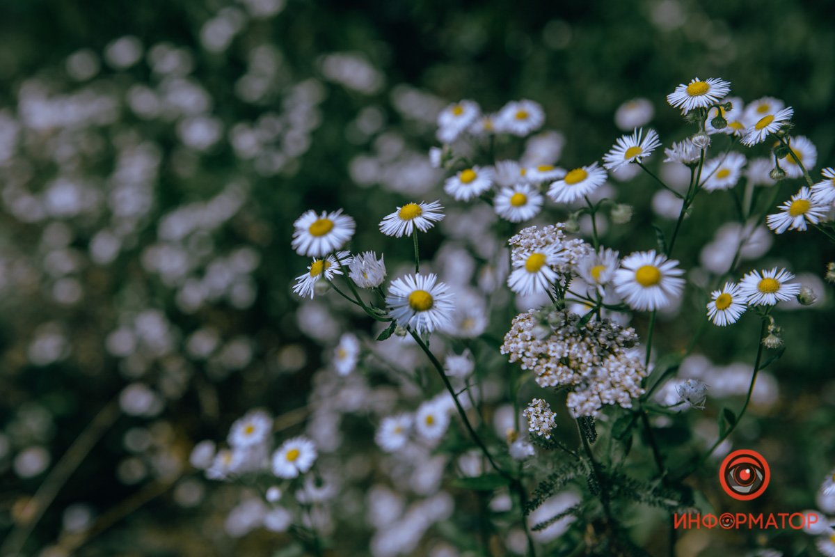 Чувствуете запах? Чувствуете запах?