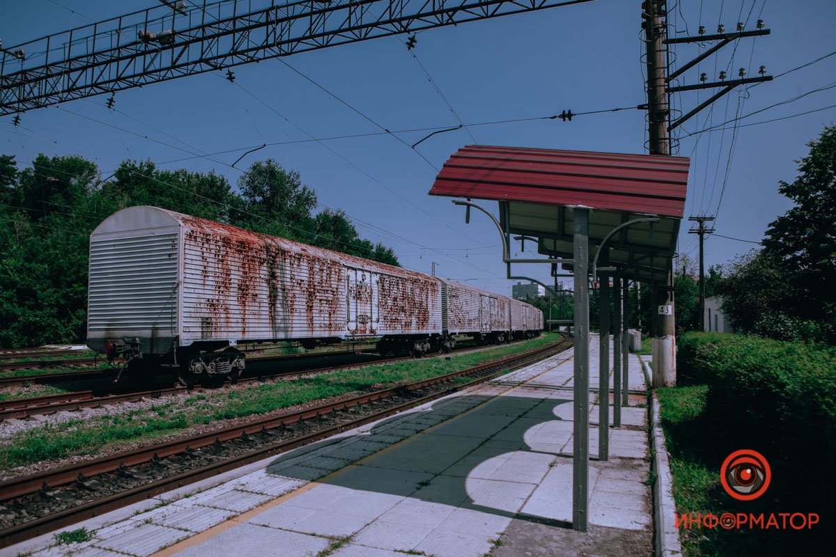 Не дождались Не дождались