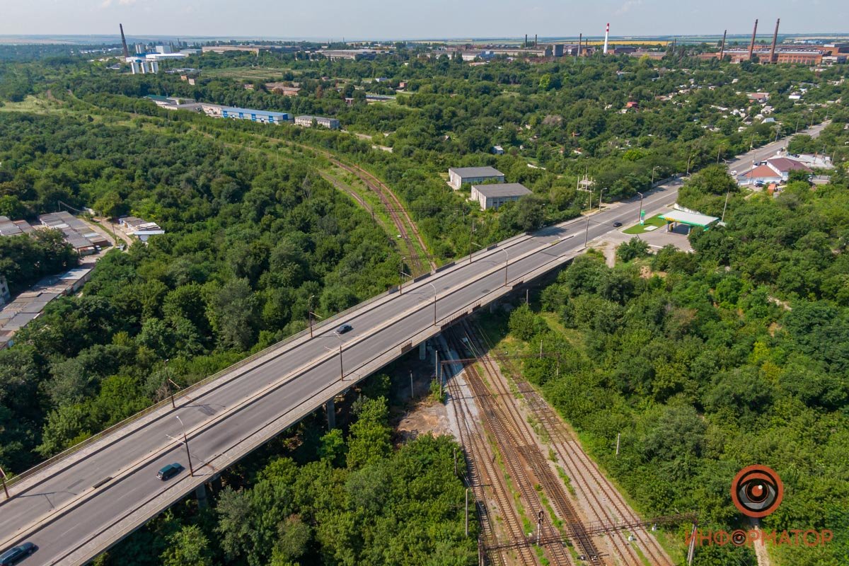 Целый лес Целый лес