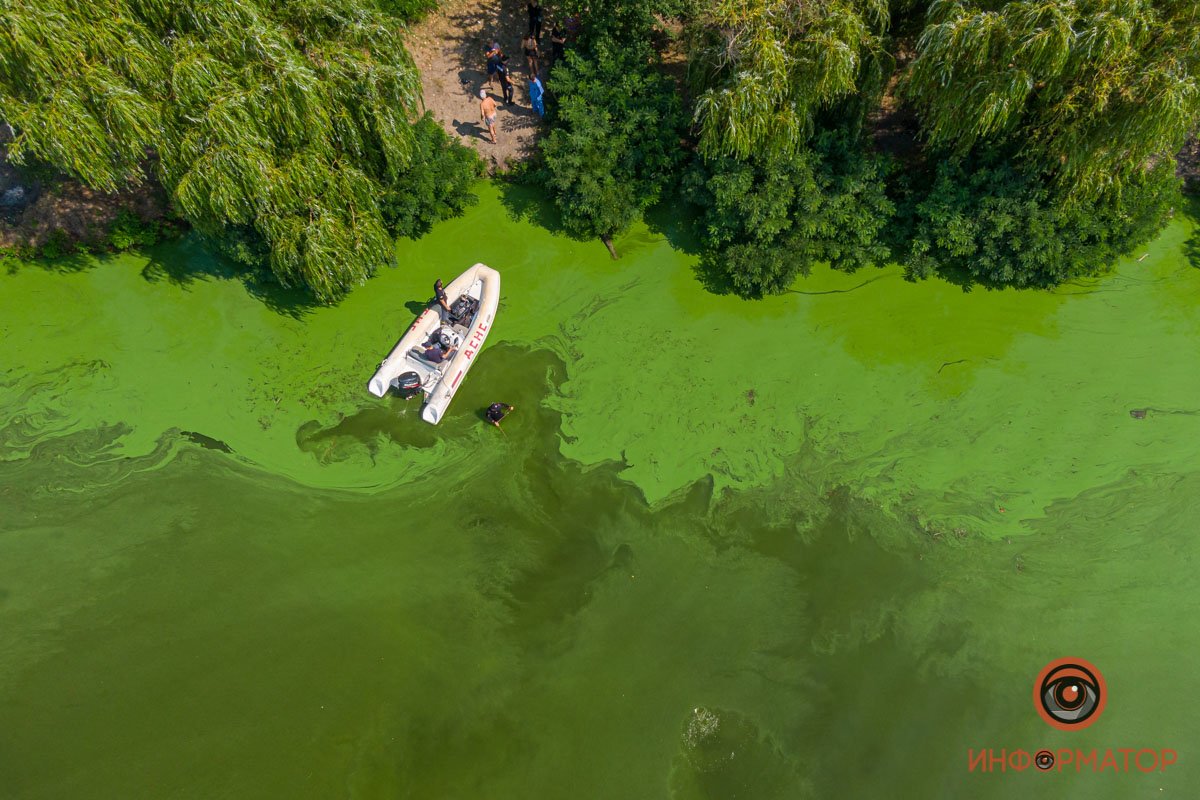 Предполагают, что ему могло стать плохо Предполагают, что ему могло стать плохо