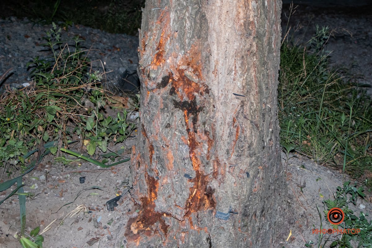 Это превышение гранично допустимого показателя более чем в 12 раз Это превышение гранично допустимого показателя более чем в 12 раз