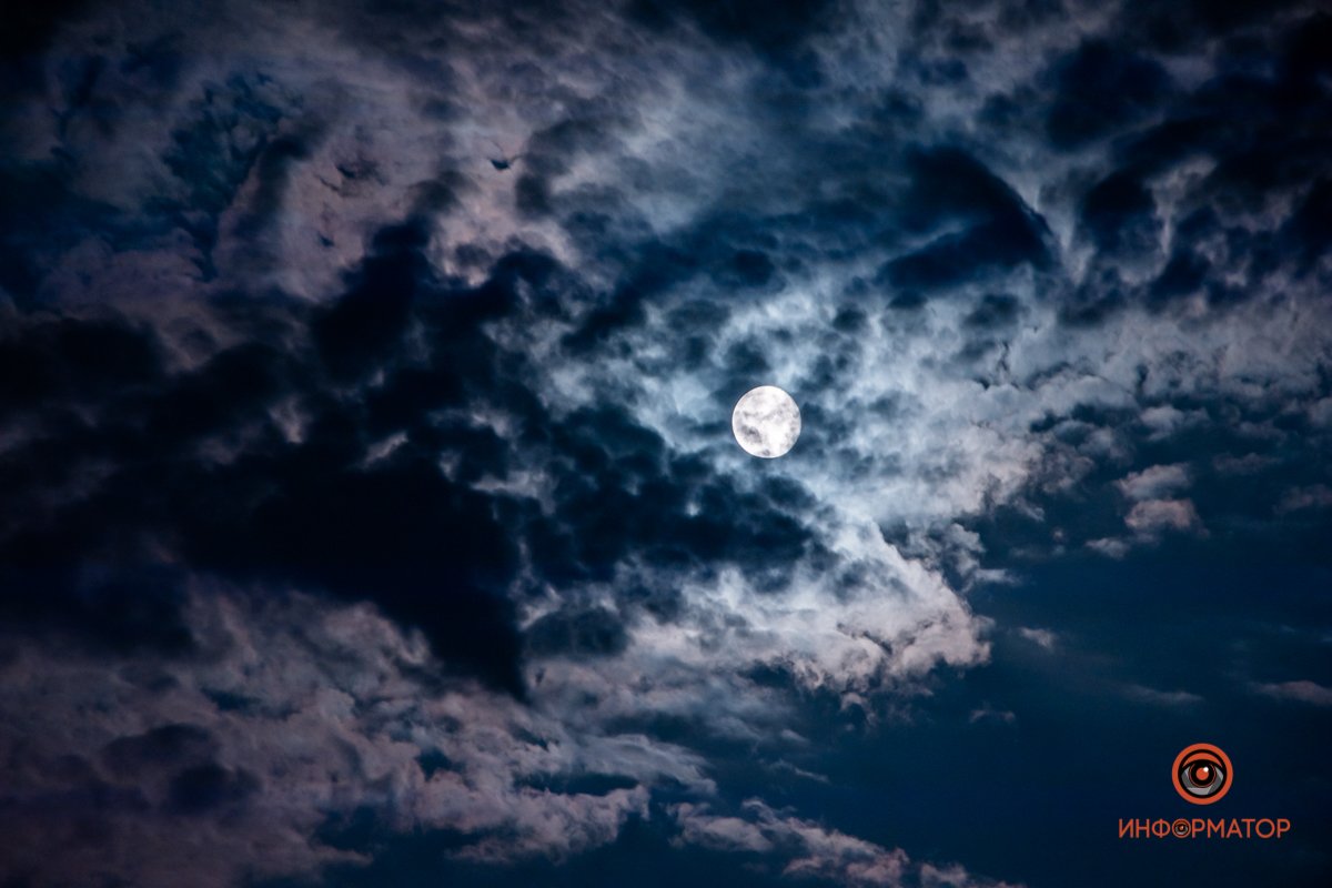 Под покровом ночи Под покровом ночи