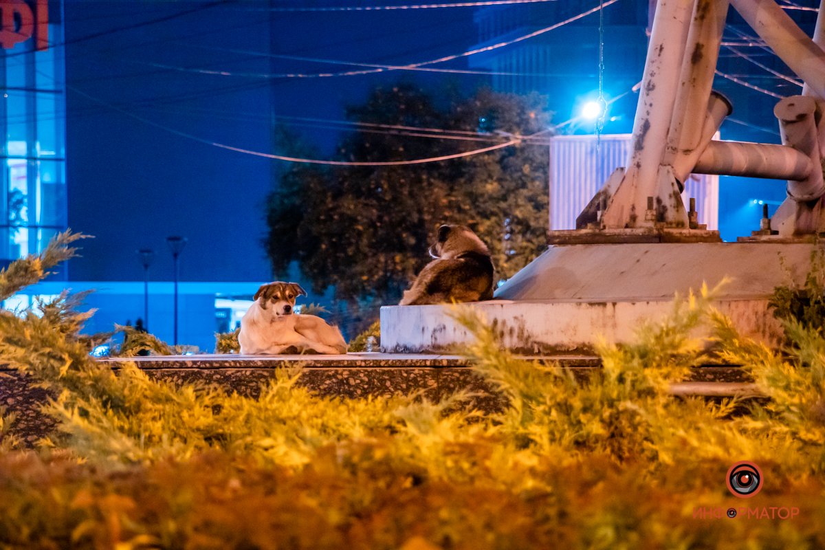 Под охраной Под охраной