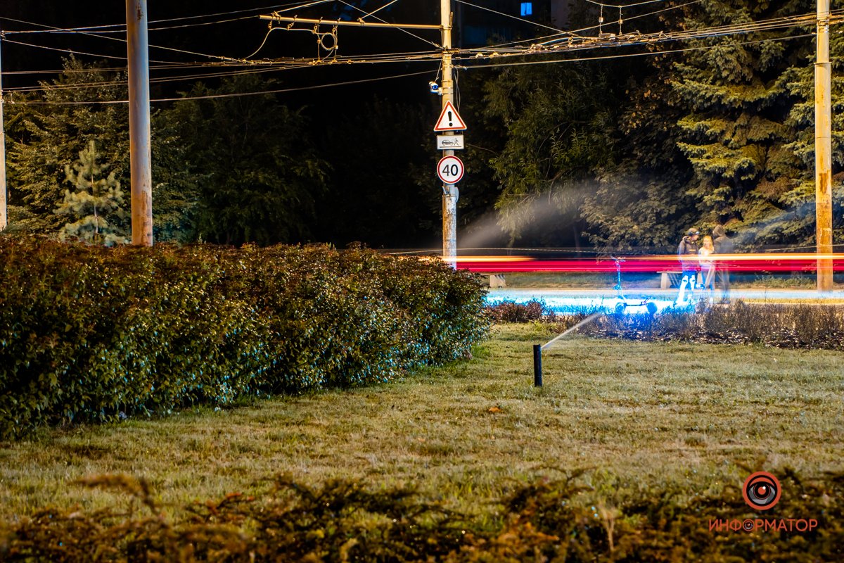 Озеленение Космической площади Озеленение Космической площади