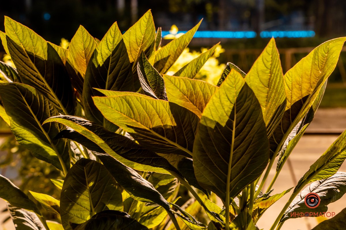 Такой вид Космическая площадь приобрела в 2003 году Такой вид Космическая площадь приобрела в 2003 году