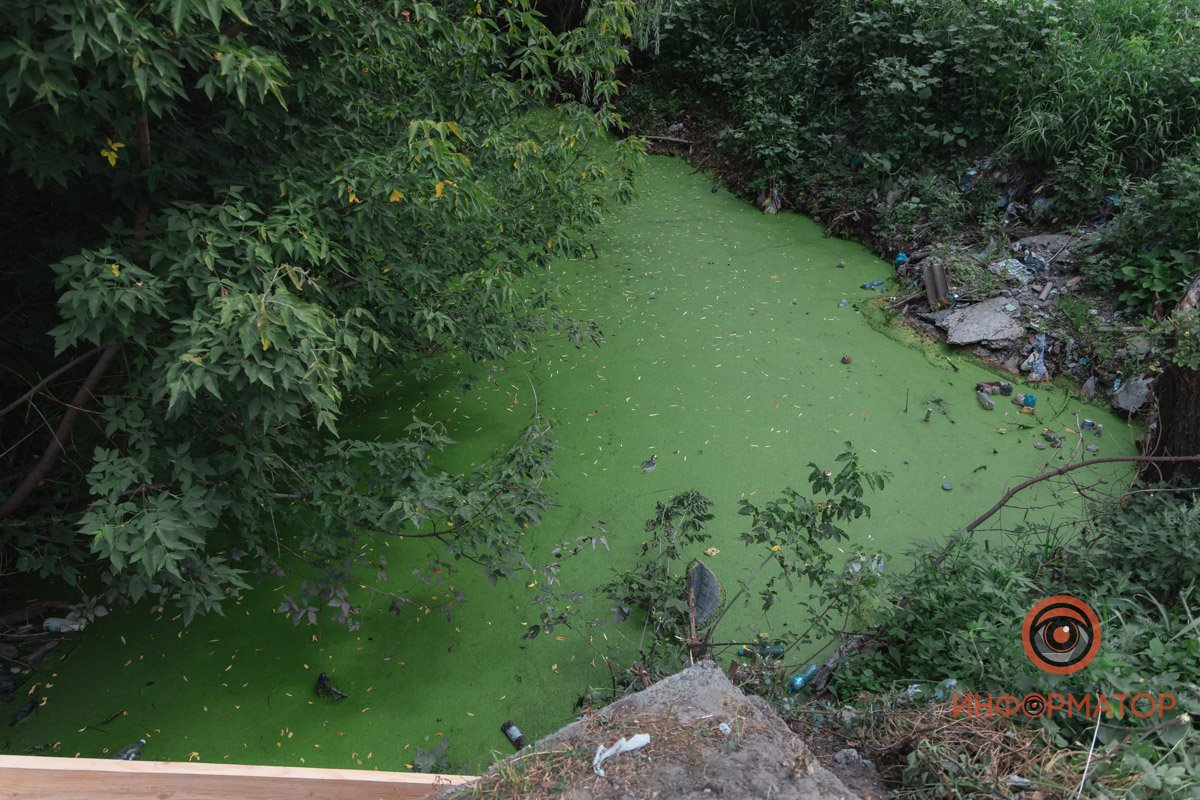 Зацветший канал Гнилокиш Зацветший канал Гнилокиш