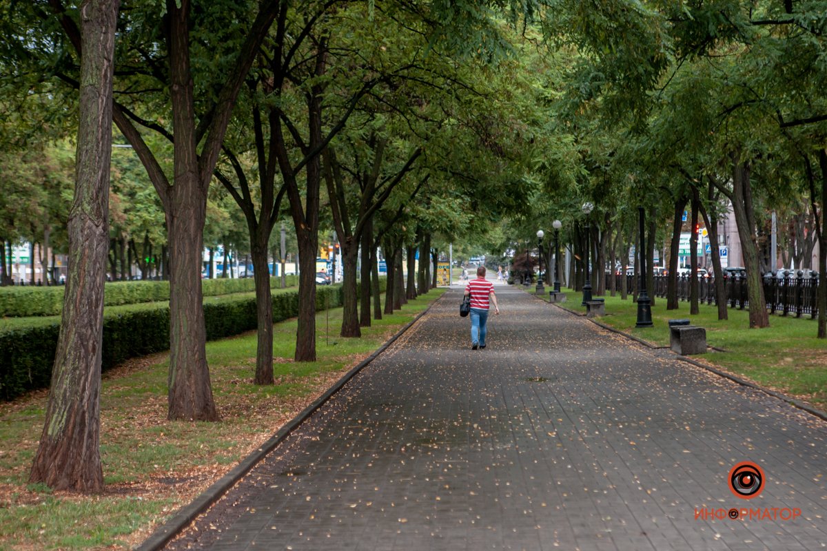 В Днепре прошел долгожданный летний дождь 25