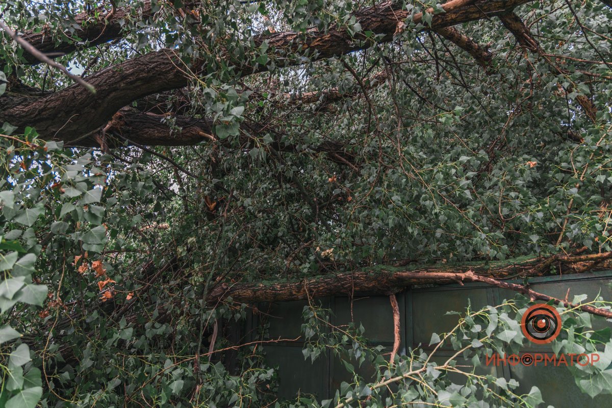 Всего полчаса непогоды