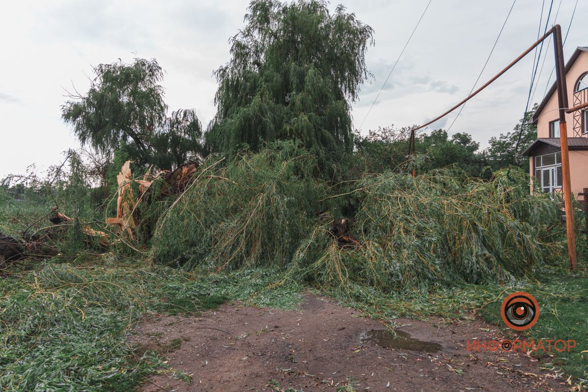 Деревья перегородили проезд в нескольких местах