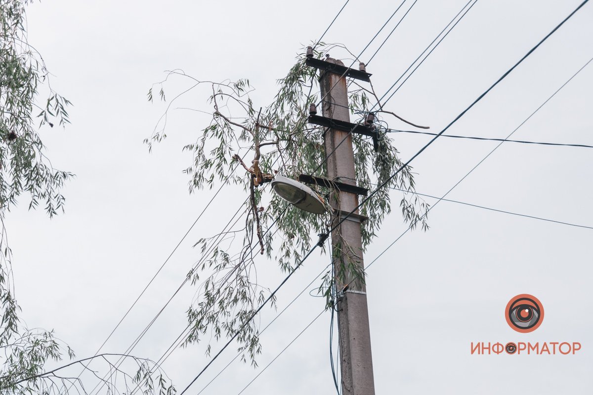 Ветки повисли на проводах