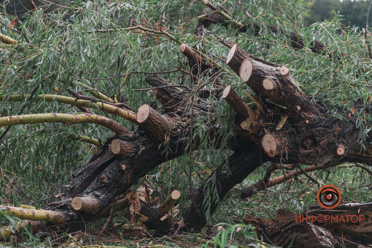 Некоторые ветки люди убирают самостоятельно