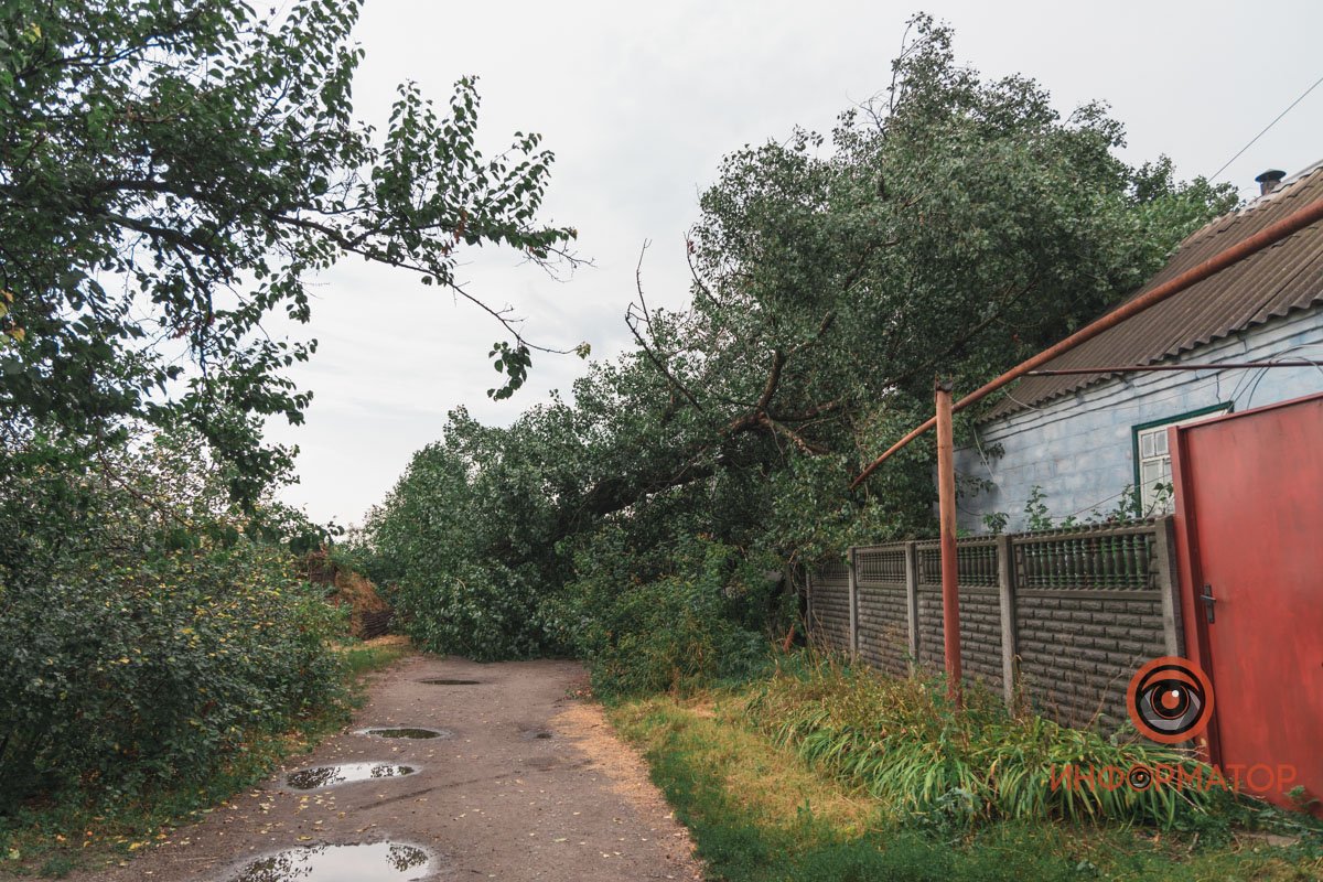 Такая ситуация - по всему Балканскому переулку