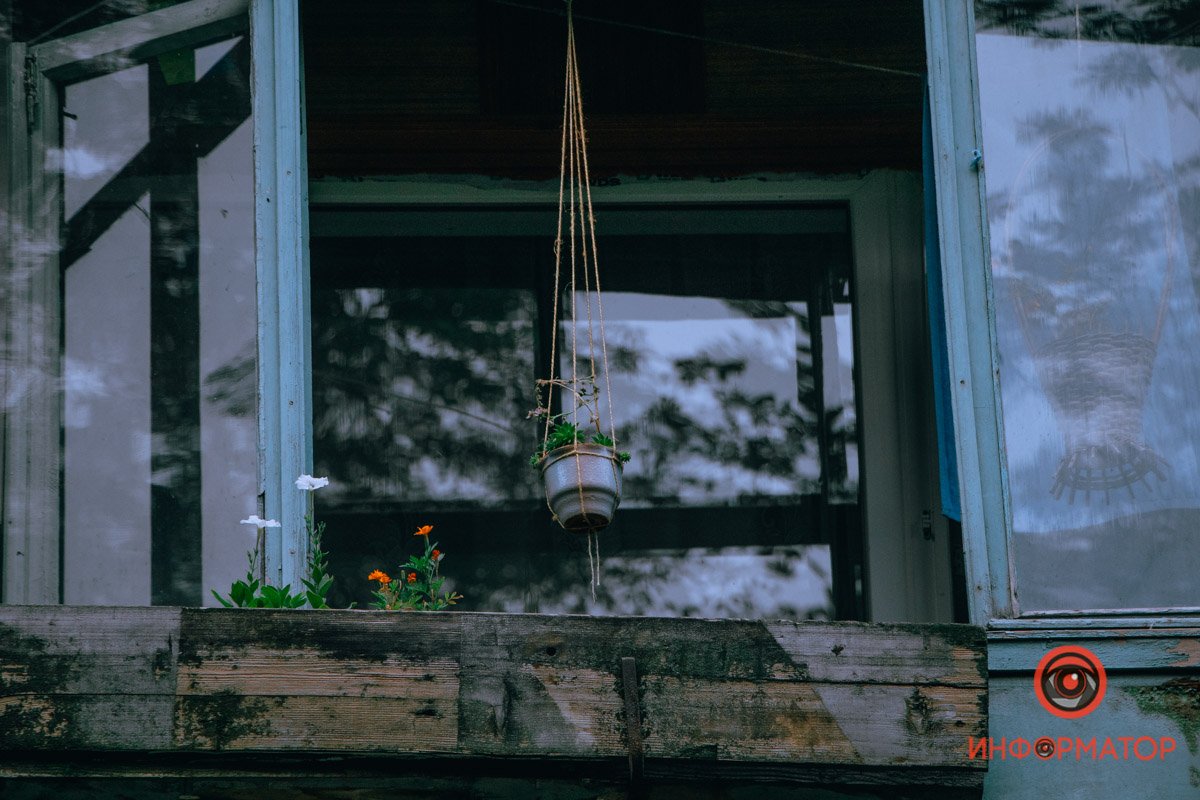 Немного растительности Немного растительности