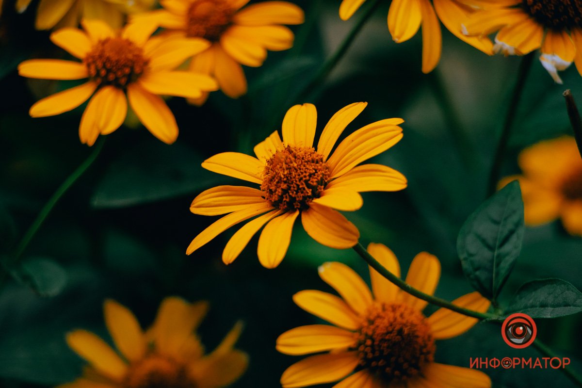 Красота в деталях Красота в деталях