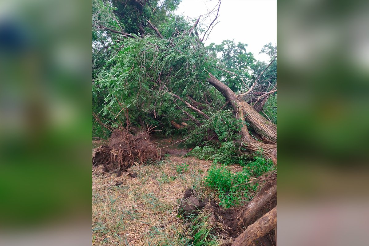 Последствия получасовой непогоды Последствия получасовой непогоды