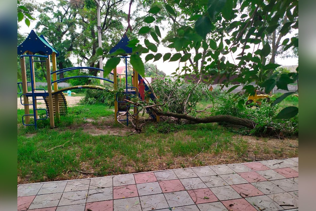 Деревья упали прямо на детскую площадку Деревья упали прямо на детскую площадку