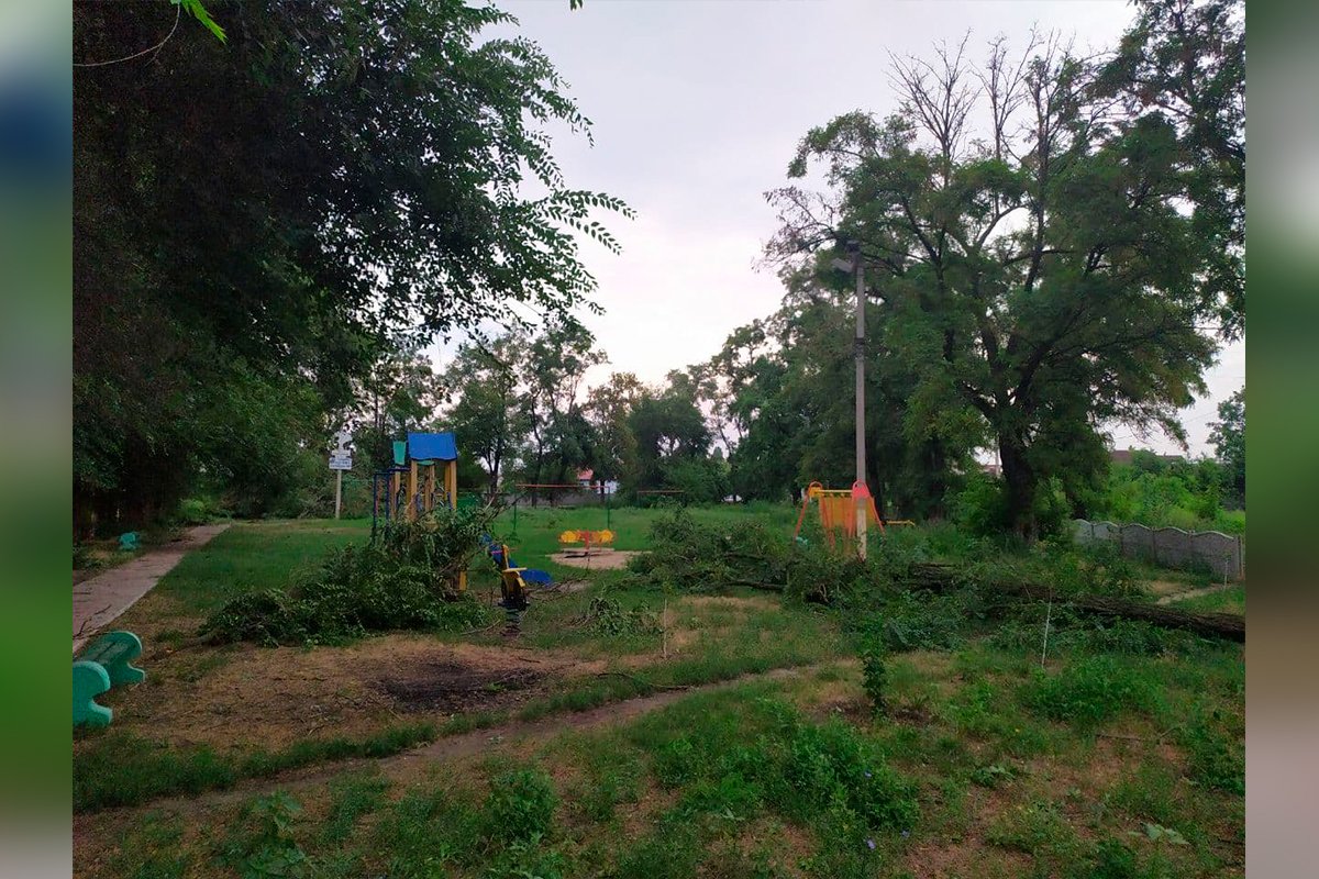 В зеленой зоне на пересечении улиц Гуртовой, Белградской и Стародубцева В зеленой зоне на пересечении улиц Гуртовой, Белградской и Стародубцева