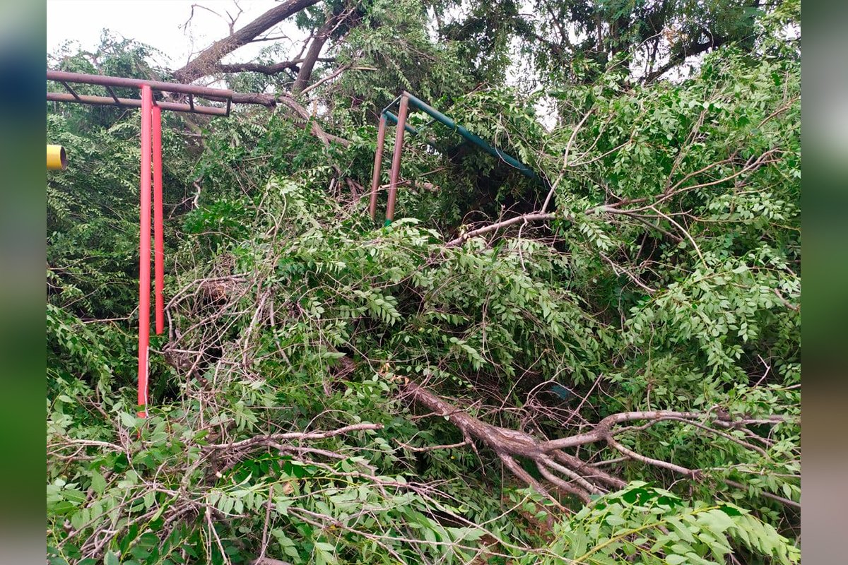 Упавшие деревья повредили качели и сломали турник Упавшие деревья повредили качели и сломали турник