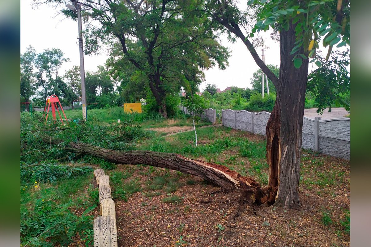 На место вызвали коммунальные службы для ликвидации последствий непогоды На место вызвали коммунальные службы для ликвидации последствий непогоды