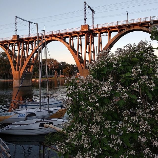 Фото: ta_pavlichenko