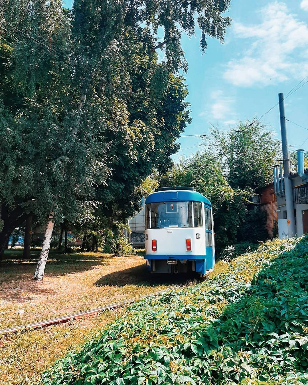  Фото: _adelina_ph_