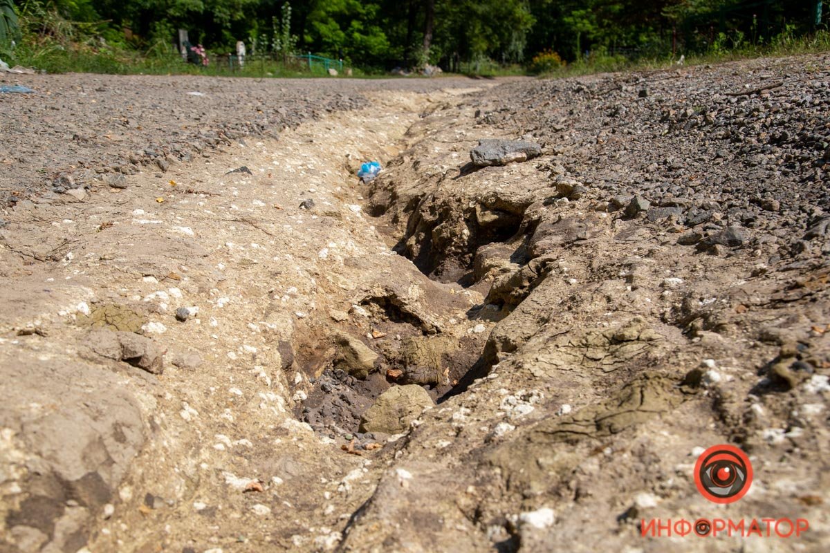 Фото: Андрей Батозский