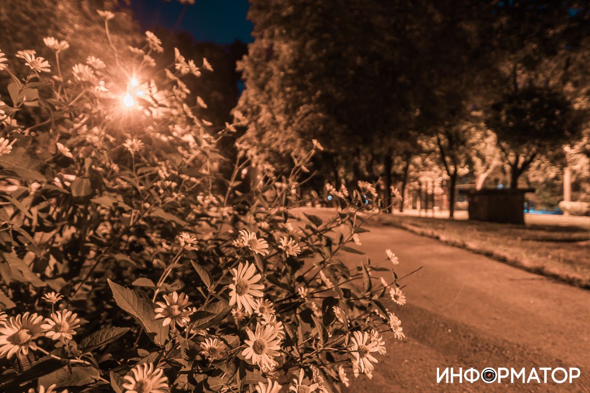 Настоящие цветы жизни