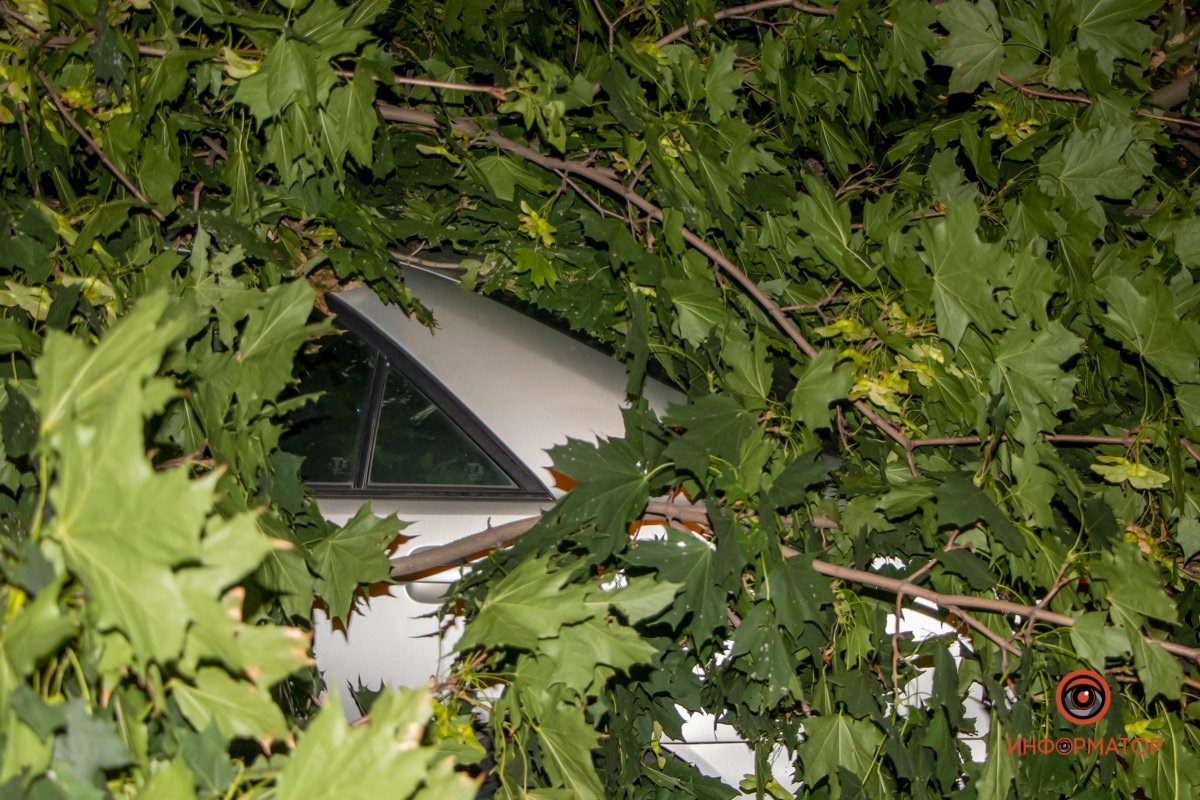 К счастью, никто не пострадал К счастью, никто не пострадал