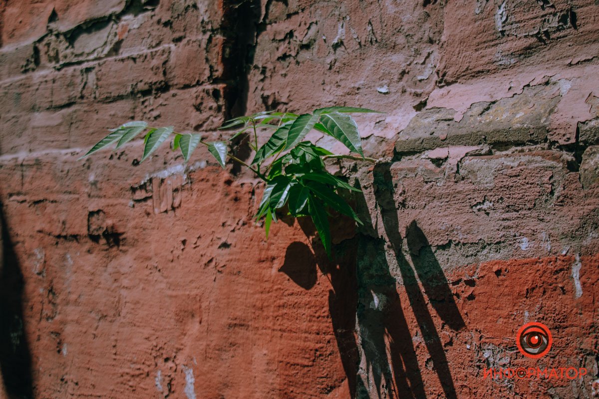 Почему не Горького и чем знаменита Княгиня Ольга: где в Днепре найти широкую улицу 1