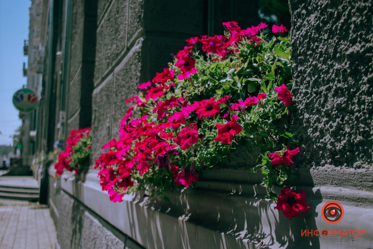 Почему не Горького и чем знаменита Княгиня Ольга: где в Днепре найти широкую улицу 34