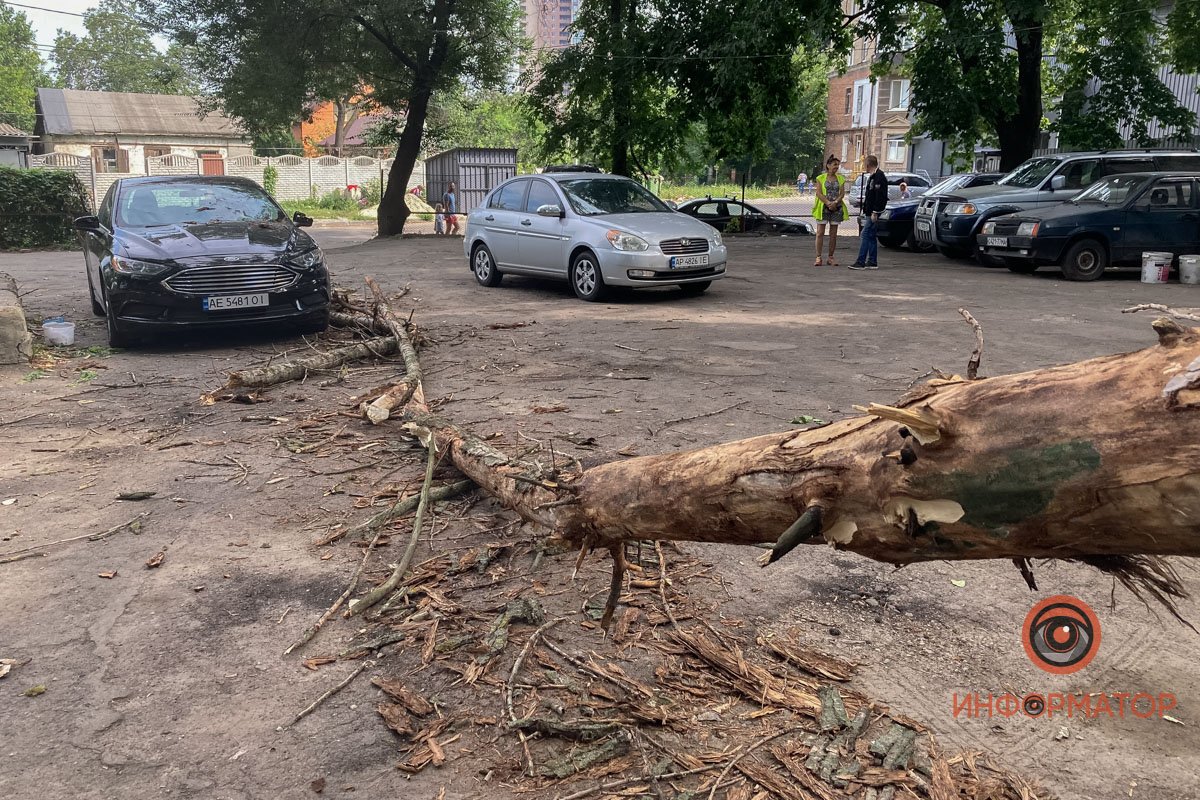 В Днепре ветка упала на припаркованные машины: пострадал Opel, Ford и ЗАЗ 1