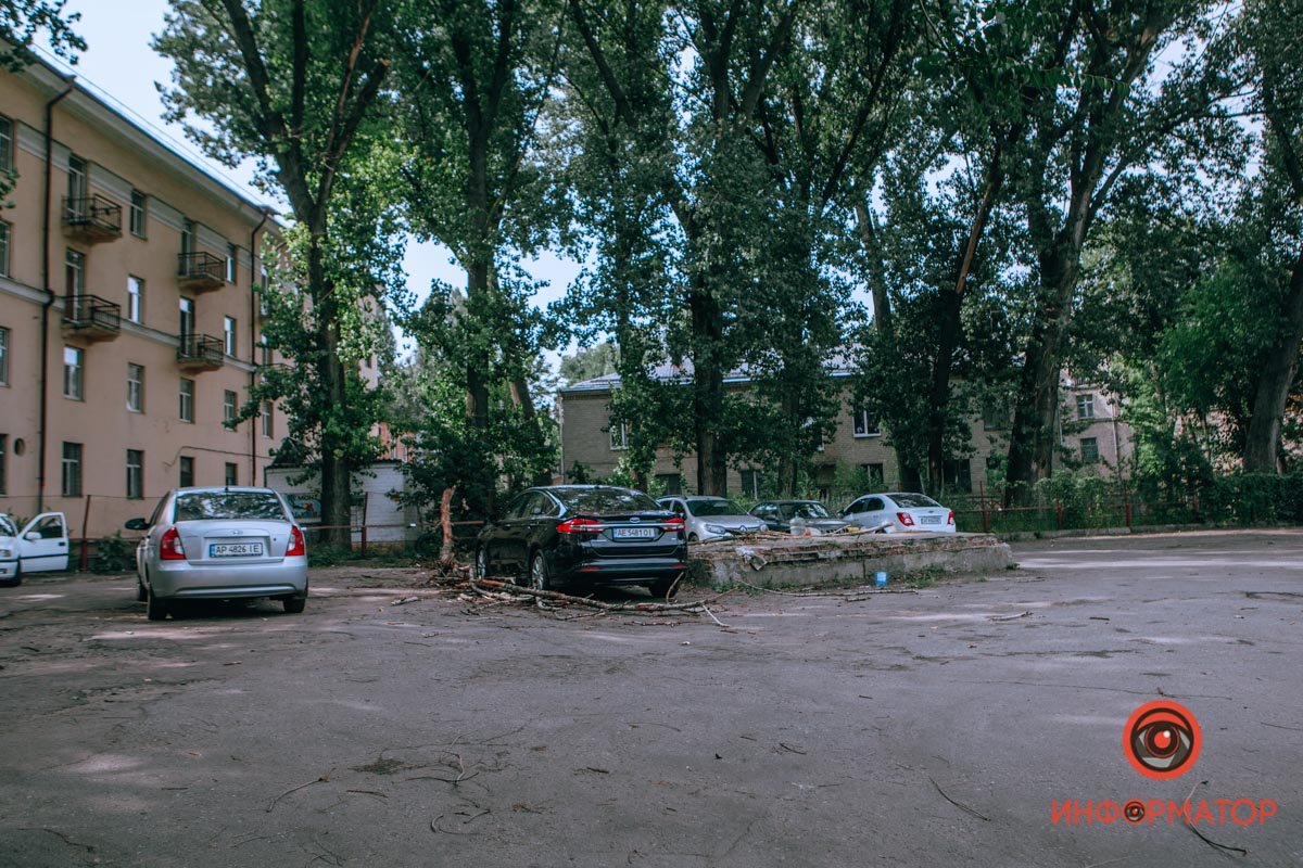 В Днепре ветка упала на припаркованные машины: пострадал Opel, Ford и ЗАЗ 2