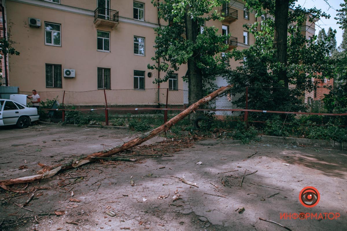 В Днепре ветка упала на припаркованные машины: пострадал Opel, Ford и ЗАЗ 4