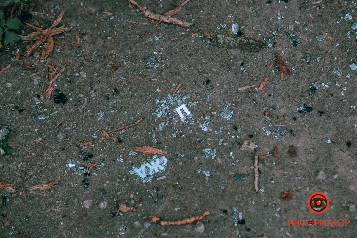 В Днепре ветка упала на припаркованные машины: пострадал Opel, Ford и ЗАЗ 5