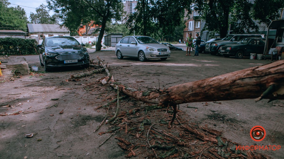 В Днепре ветка упала на припаркованные машины: пострадал Opel, Ford и ЗАЗ 8