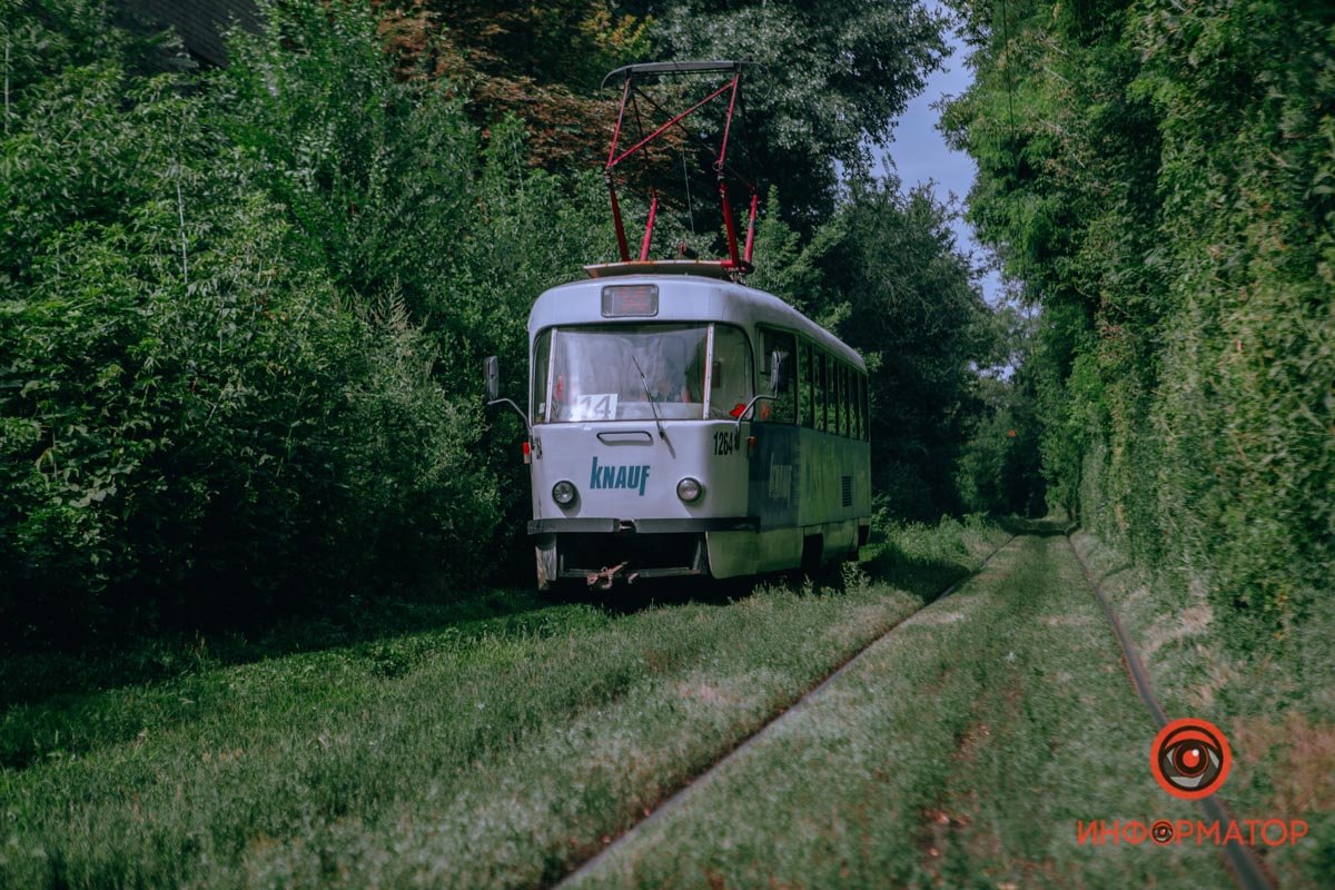 Нужно больше зелени Нужно больше зелени