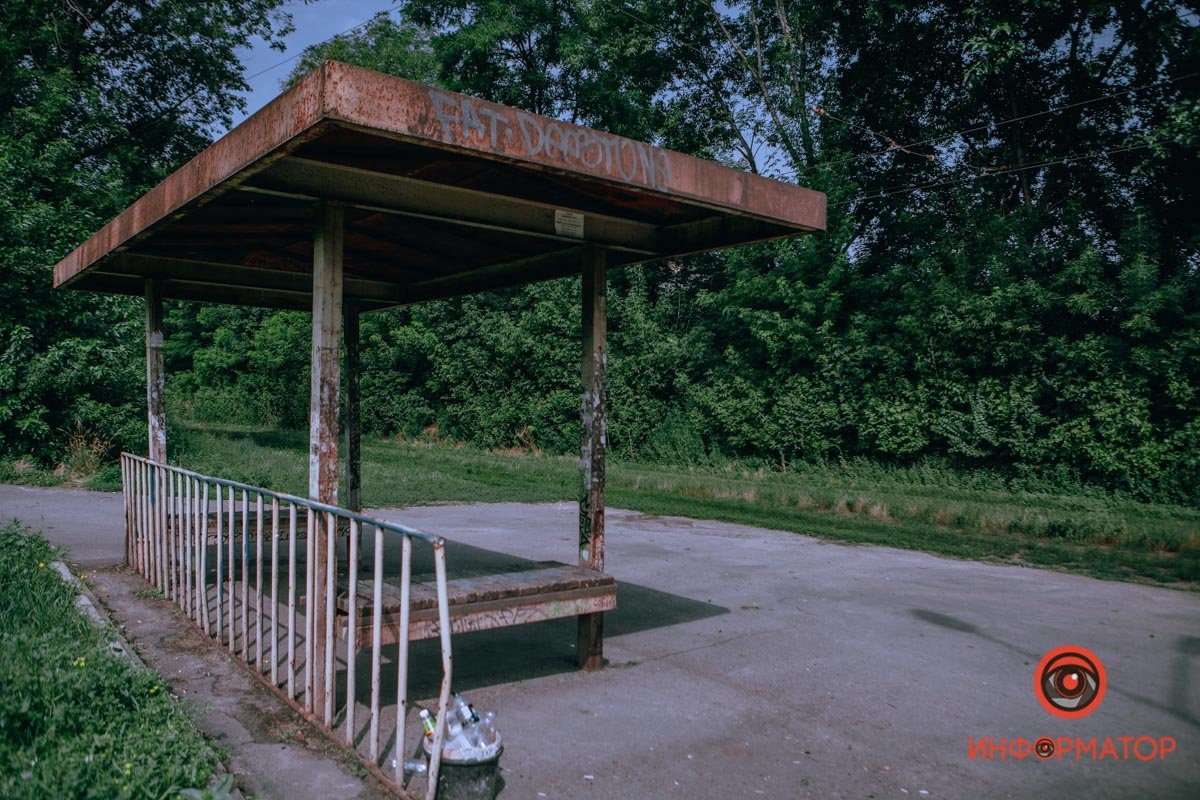 Лето = зелень Лето = зелень